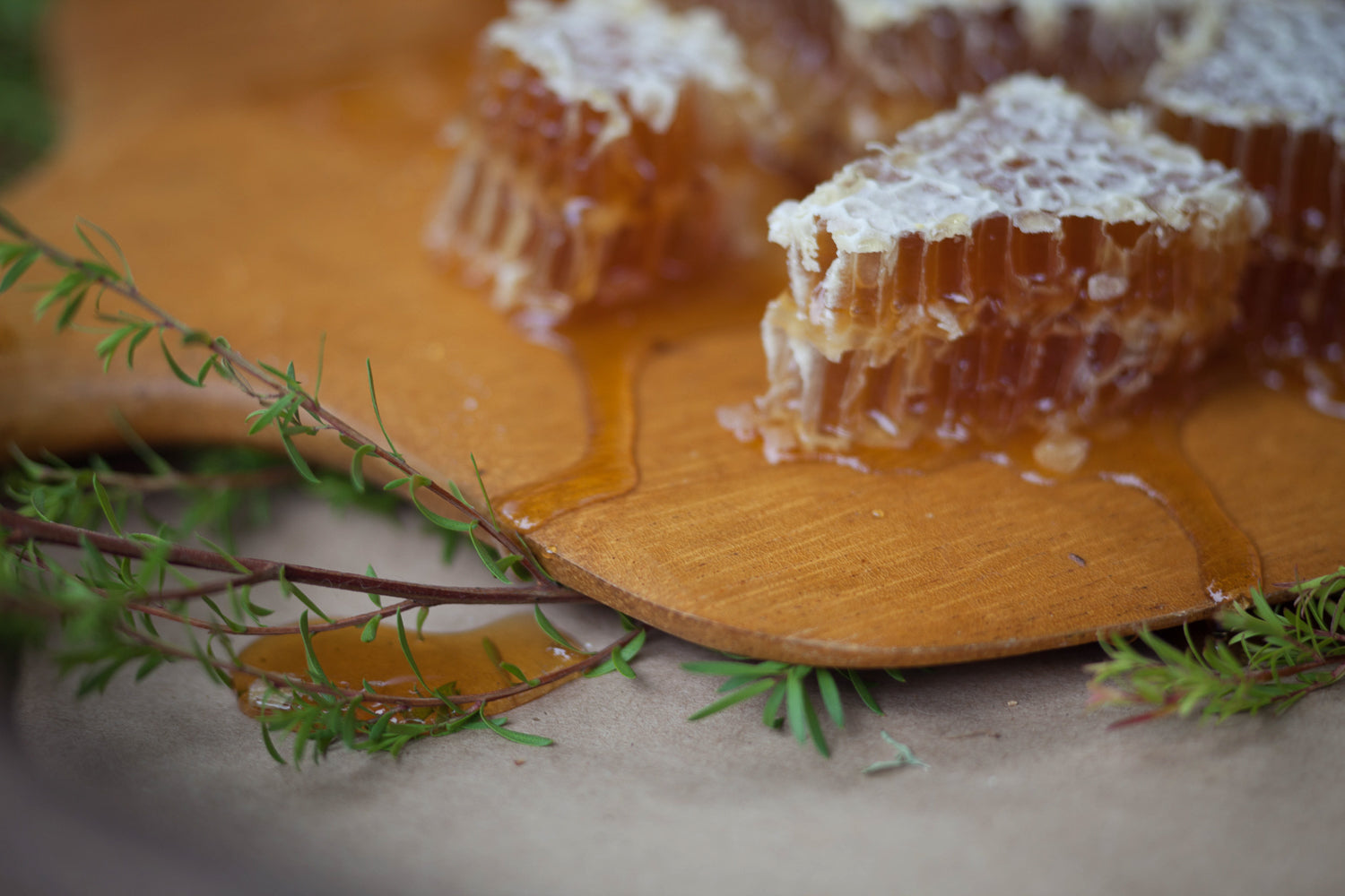 Honey Glazed Ham
 &ndash; Hunt and Gather Bee Co.