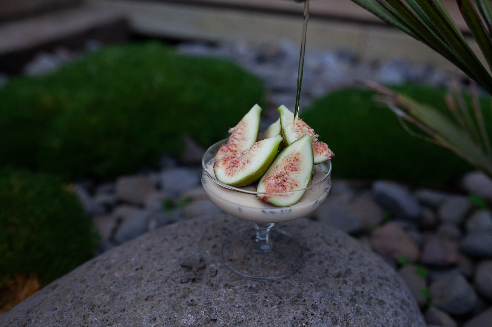 Honey and Lavender Panna Cotta – Hunt and Gather Bee Co.