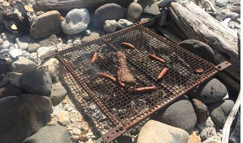 Honey and Lime Marinated Venison
 &ndash; Hunt and Gather Bee Co.