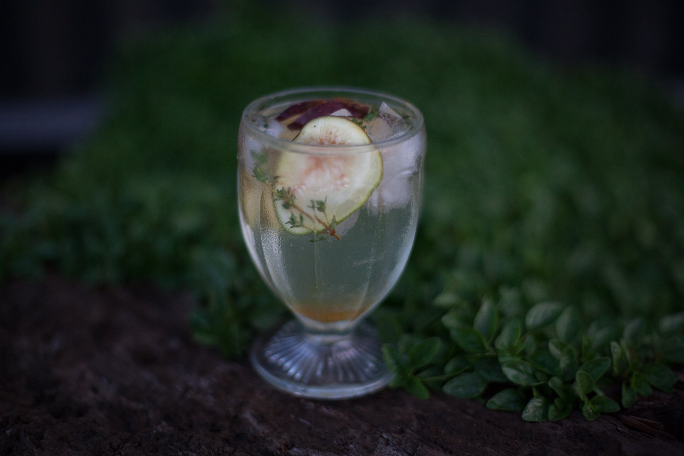 Fig and Thyme cocktail Hunt and Gather Bee Co.