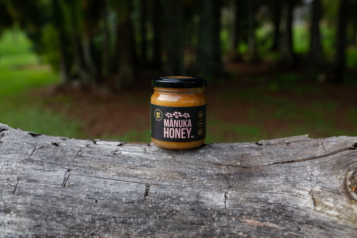 Special Harvest - Mānuka Honey MGO 200+