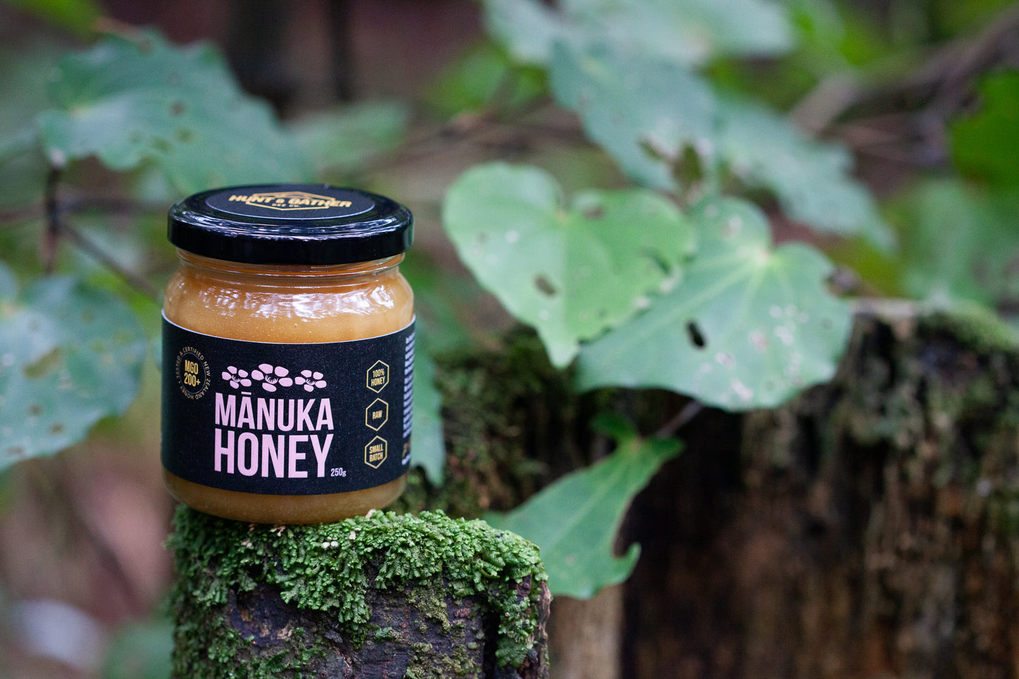 Special Harvest - Mānuka Honey MGO 200+