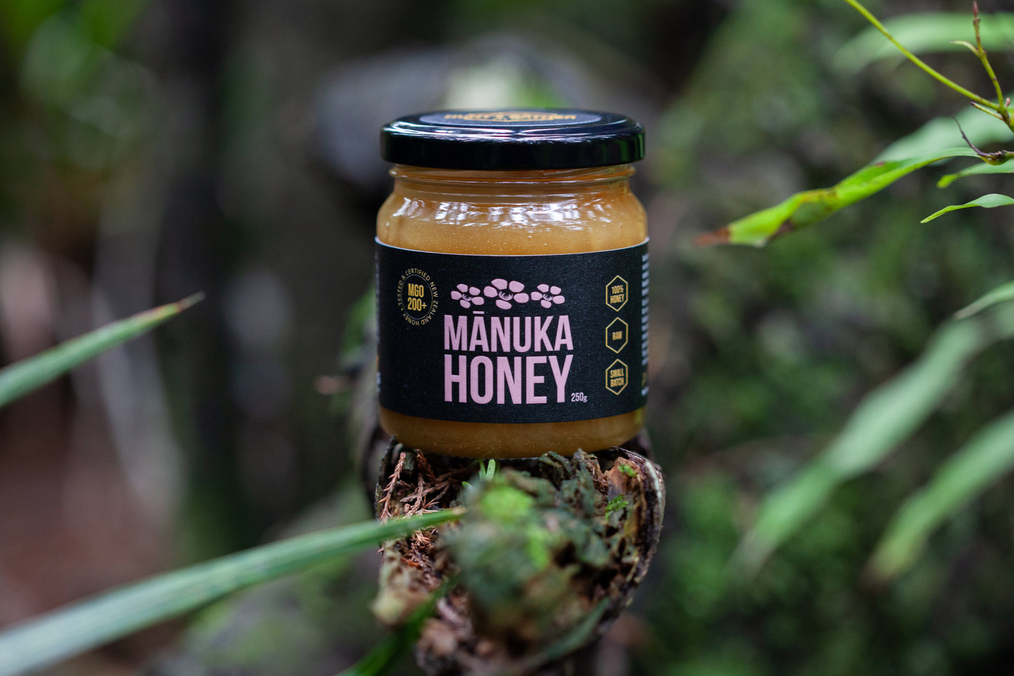 Special Harvest - Mānuka Honey MGO 200+