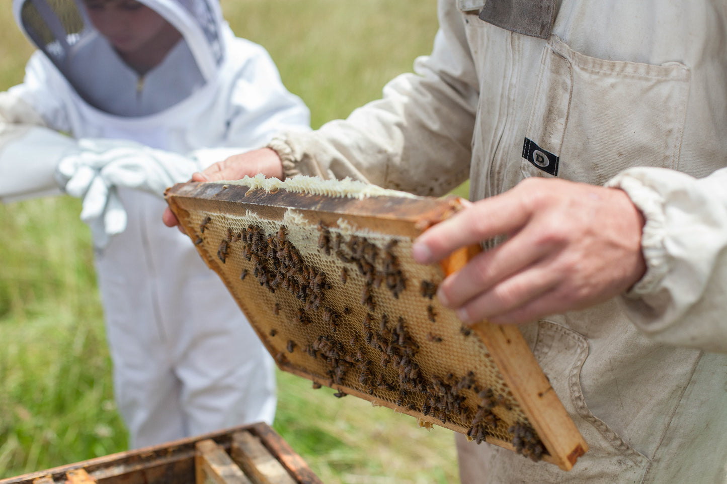 Hunt and Gather Beekeeping Experiences